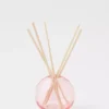 Aerie Paddywax Reed Diffuser -Summer Apparel Store 0811 5913 615 f
