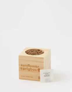 Aerie Sprigbox Planter -Summer Apparel Store 5498 7826 763 b