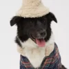 OFFLEASH By Aerie Pet Sherpa Bucket Hat 1 OFFLEASH By Aerie Pet Sherpa Bucket Hat -Summer Apparel Store 6724 1285 164 of